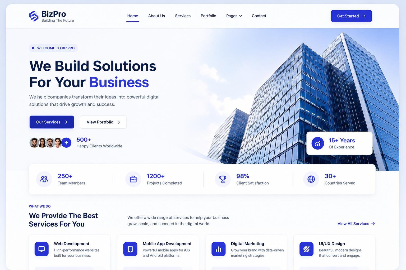 Professional Website